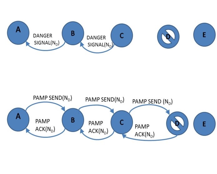 Figure 2. PAMP to confirm attacker